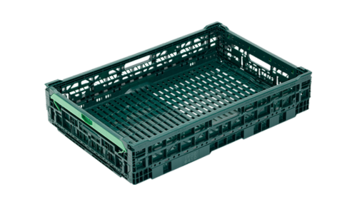 浅型 - Small size series - IFCO