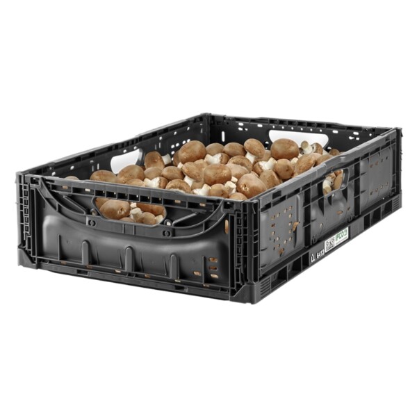 IFCO BLL - Reusable packaging container