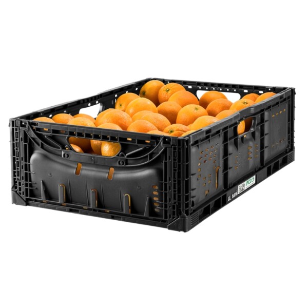 IFCO BLL - Reusable packaging container