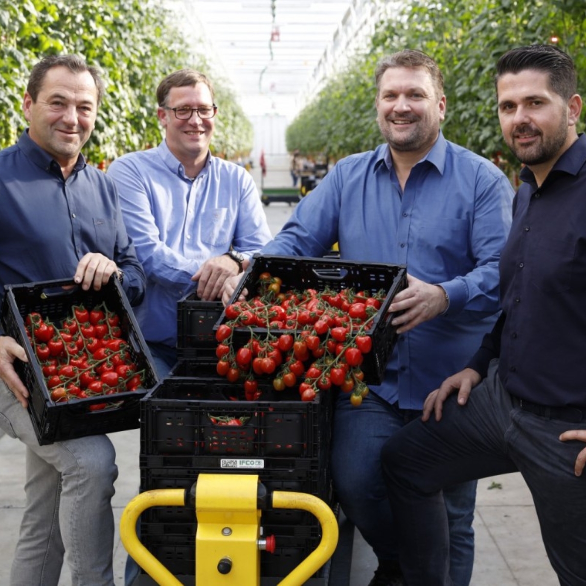 IFCO reusable packaging ile domatesleri koruyun