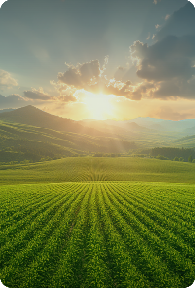 How IFCO reusable packaging supports your ESG goals